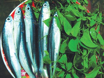 Chuon fish and Giang leaves (Photo: Thanh Nien)